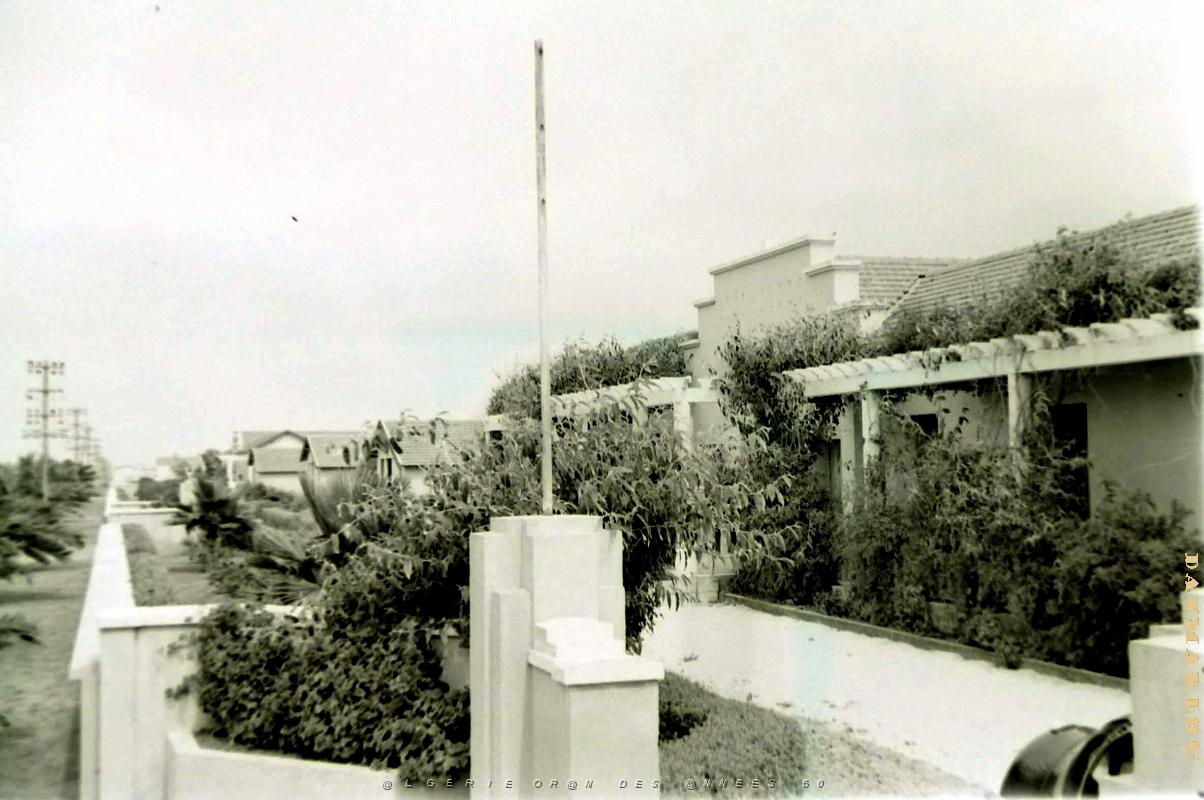 Mazagran 502- Jardin Spiney COLLECTION DES AMIS DE ND DE SANTA CRUZ.JPG